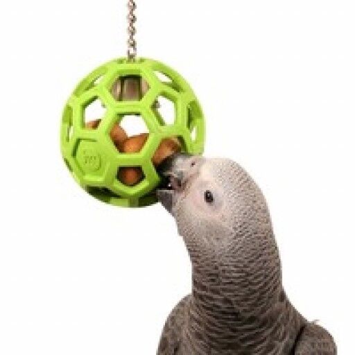 JW Pet ActiviToy Hol - ee Roller Bird Toy Multi - Color 1ea/LG - Petsplace.store