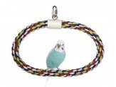 JW Pet Swing N Perch Ring Multi - Color 1ea/MD - Petsplace.store