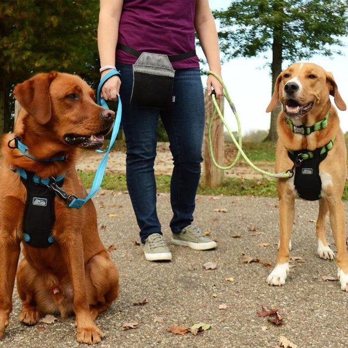 K9 Explorer Brights Reflective Adjustable Dog Collar Canyon Large 1"x 18" - 26" - Petsplace.store