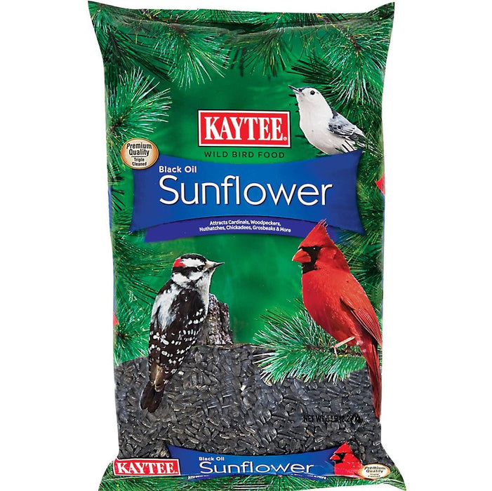 Kaytee Black Oil Sunflower Food 1ea/5 lb - Petsplace.store