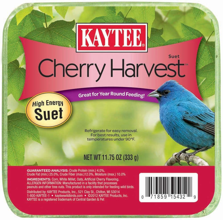 Kaytee Cherry Harvest High Energy Suet 1ea/11.75 oz - Petsplace.store