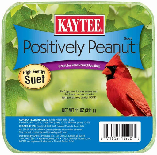 Kaytee Positively Peanut High Energy Mini Suet 1ea/11 oz - Petsplace.store