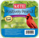 Kaytee Positively Peanut High Energy Mini Suet 1ea/11 oz - Petsplace.store