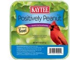 Kaytee Positively Peanut High Energy Mini Suet 1ea/11 oz - Petsplace.store