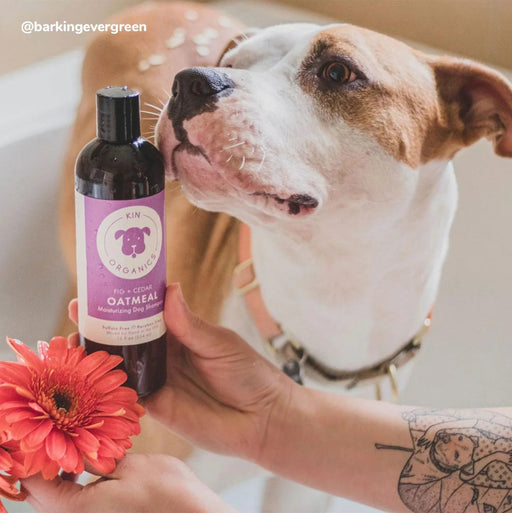 **Kin+Kind Coat Oatmeal Fig+Cedar 12oz. Kin Organics Shampoo - Petsplace.store