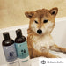 **Kin+Kind Shampoo Itchy Dog 12oz. Teatree/Grapefruit - Petsplace.store