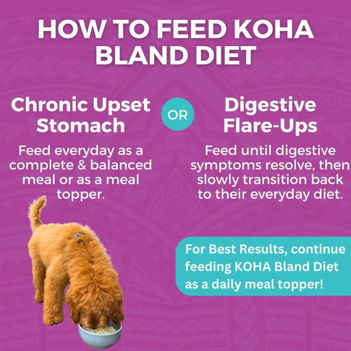 Koha Dog Bland Diet Beef Rice 12.5oz. (Case of 6) - Petsplace.store