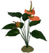 Komodo Anthurium Bush w/ Gravel 1ea - Petsplace.store