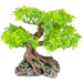 Komodo Bonsai Tree 1ea/17 in - Petsplace.store