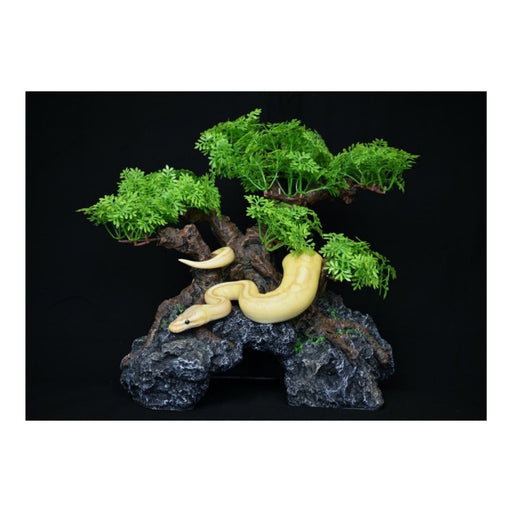 Komodo Bonsai Tree w/ Hide 1ea/18 in - Petsplace.store