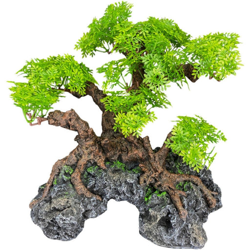 Komodo Bonsai Tree w/ Hide 1ea/18 in - Petsplace.store