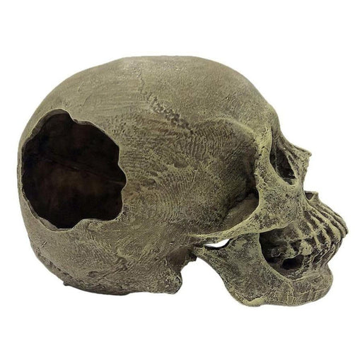 Komodo Half Human Skull Reptile Hideout Gray 1ea/One Size - Petsplace.store