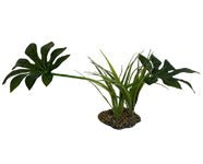 Komodo Jungle Canopy Plant 1ea/42 cm - Petsplace.store