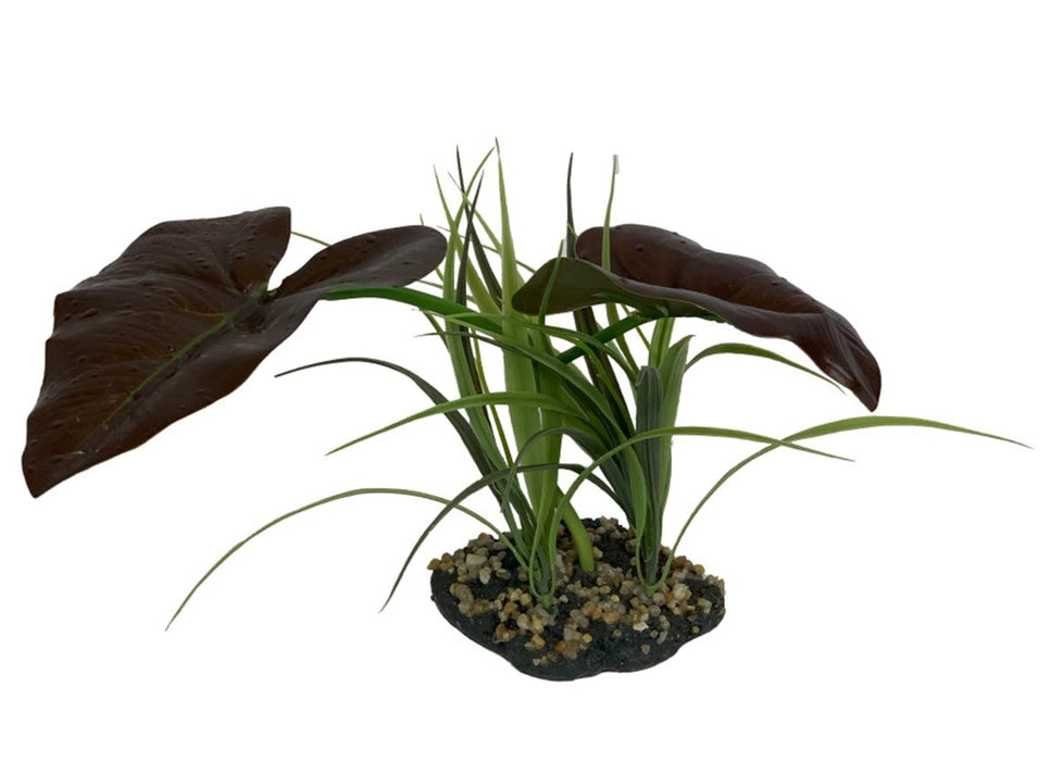 Komodo Rainforest Canopy Plant 1ea/10 in - Petsplace.store