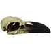 Komodo Raven Skull Hideout 1ea/LG, 18 in - Petsplace.store