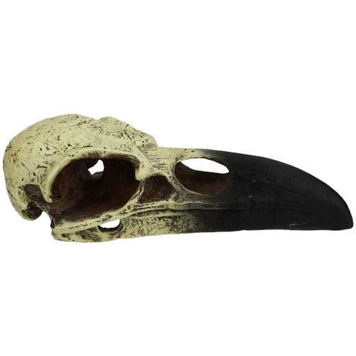 Komodo Raven Skull Hideout 1ea/LG, 18 in - Petsplace.store