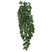 Komodo Two - Toned Leaf Hanging Plant 1ea/LG, 26 in - Petsplace.store