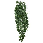 Komodo Two - Toned Leaf Hanging Plant 1ea/LG, 26 in - Petsplace.store