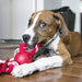 KONG Ball with Rope Dog Toy Red 1ea/SM - Petsplace.store