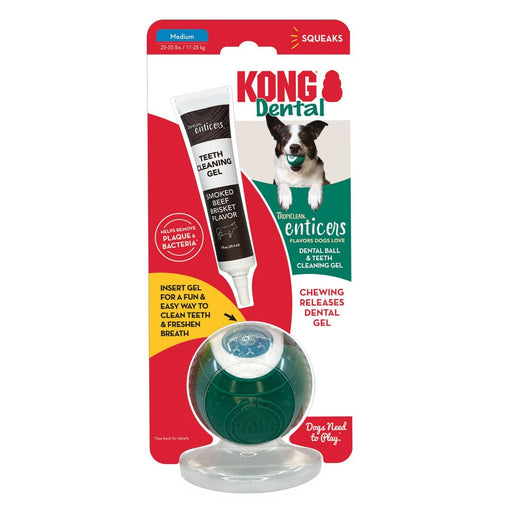 KONG Dental Ball w/Tropiclean Enticer Teeth Cleaning Gel Honey Chicken 1ea/MD, 1 oz - Petsplace.store