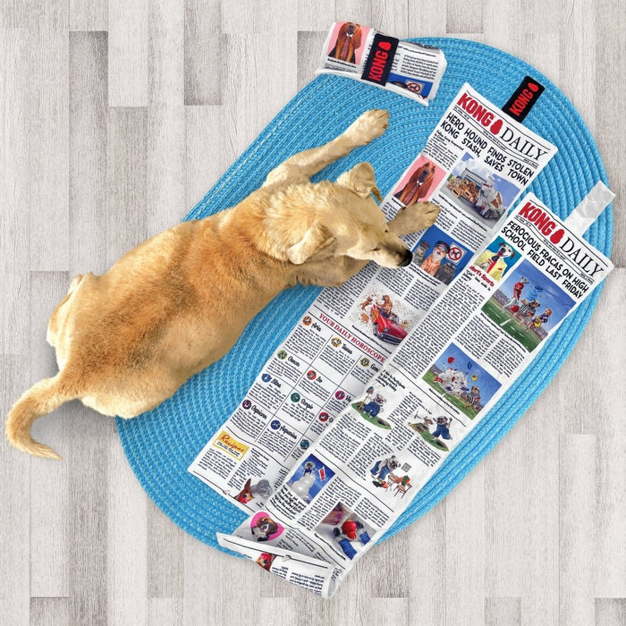 Kong Dog Daily Newspaper Xlarge - Petsplace.store