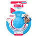 KONG Flyer Dog Toy Assorted 1ea/Puppy - Petsplace.store