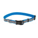 Lazer Brite Reflective Adjustable Dog Collar Turquoise 1ea/3/8 In X 8 - 12 in - Petsplace.store