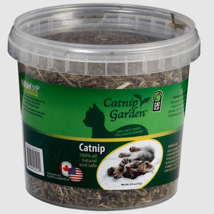 Multipet Catnip Garden North American Catnip Sealed Cup 2.5oz - Petsplace.store