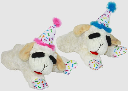 Multipet Lamb Chop w/Birthday Hat Dog Toy 1ea/10.5 in - Petsplace.store