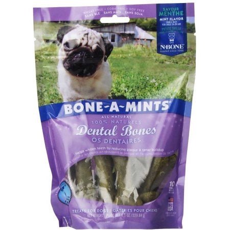 N - Bone Mint - A - Bone Small 8.10Oz. - Petsplace.store