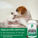 Nootie Dog Progility Aller - Immune 90Ct - Petsplace.store