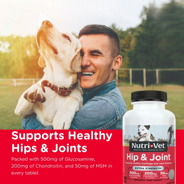 Nutri - Vet Hip & Joint Plus Liver Chewables 1ea/75 ct - Petsplace.store