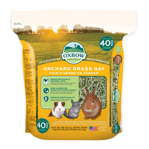 Oxbow Animal Health Orchard Grass Hay 1ea/40 oz - Petsplace.store