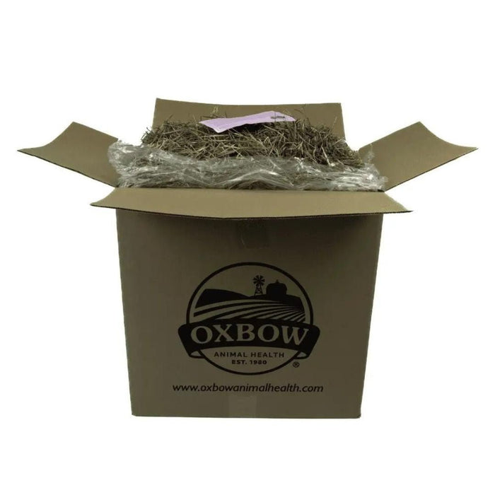 Oxbow Animal Health Western Timothy Hay 1ea/50 lb - Petsplace.store