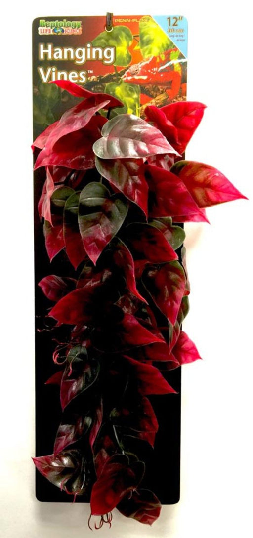 Penn - Plax Reptile Vine Green, Red 1ea/12 in - Petsplace.store