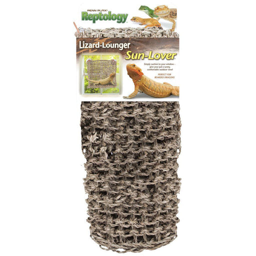 Penn - Plax Window Lizard Lounger Brown 1ea/14 In X 11 in - Petsplace.store