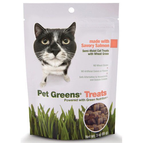 Pet Greens Cat Craves Semi - Moist Soft Cat Treats Salmon 1ea/3 oz - Petsplace.store