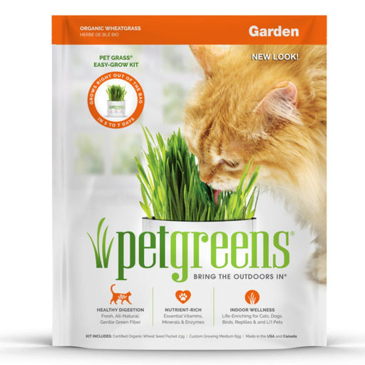 Pet Greens Garden Pet Grass Self - Grow Kit Organic Wheatgrass 1ea/3 oz - Petsplace.store