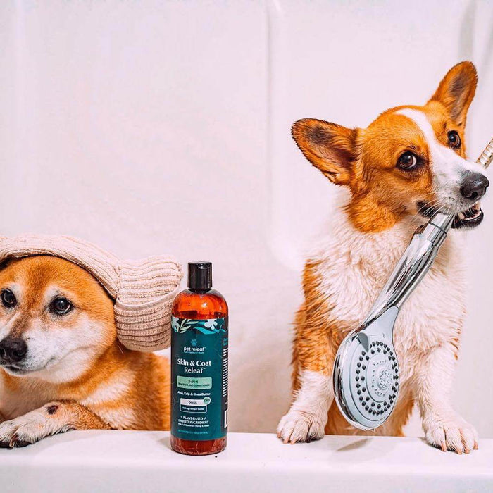 Pet Releaf Skin & Coat Dog 16oz. 2 - In - 1 Shampoo & Conditioner Cbd 100Mg - Petsplace.store