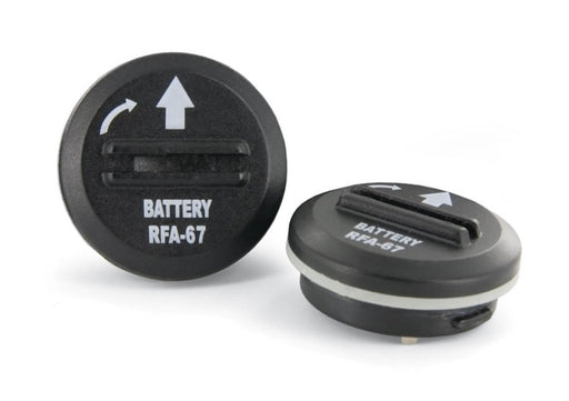 PetSafe 6 Volt Lithium Battery Black 1ea/2 ct - Petsplace.store