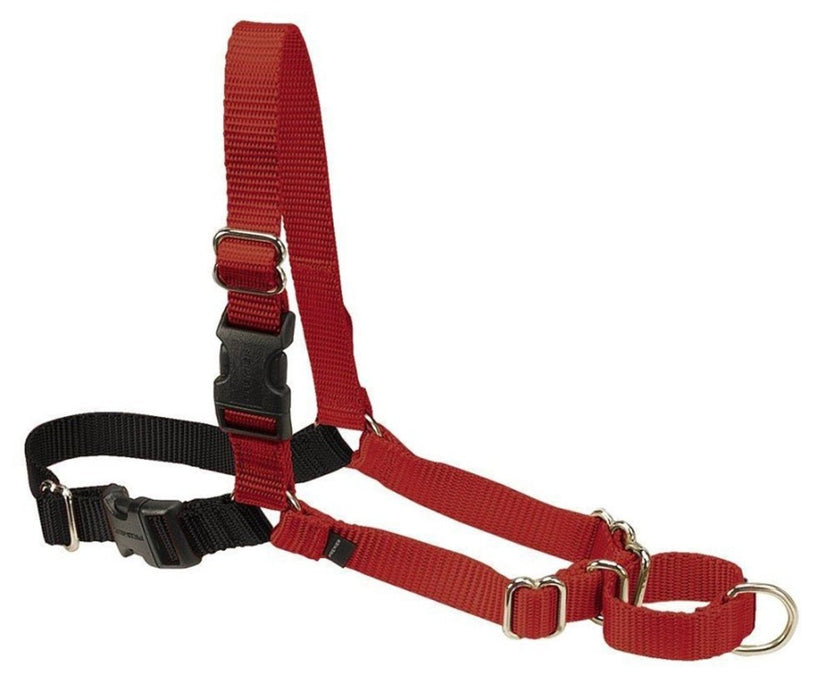 PetSafe Easy Walk Dog Harness Black/Red 1ea/MD - Petsplace.store