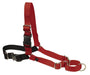 PetSafe Easy Walk Dog Harness Black/Red 1ea/MD - Petsplace.store