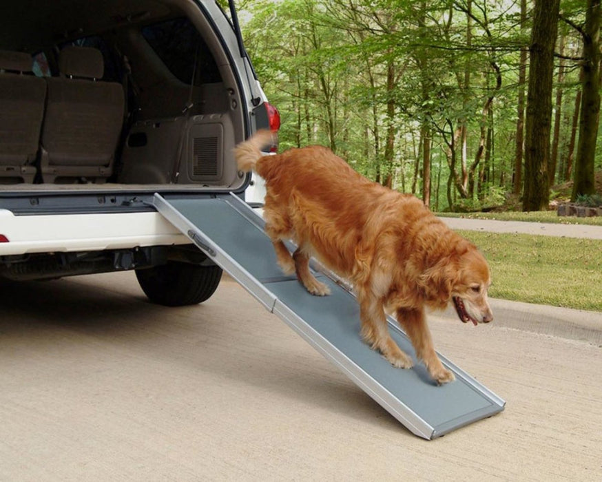 PetSafe Happy Ride Telescoping Pet Ramp for Dogs Grey 1ea/Regular - Petsplace.store