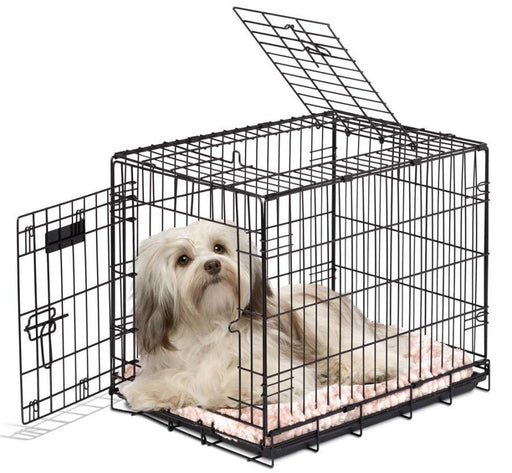 Precision Pet Products 2 Door Great Crate for Dog Black 1ea/24 in - Petsplace.store