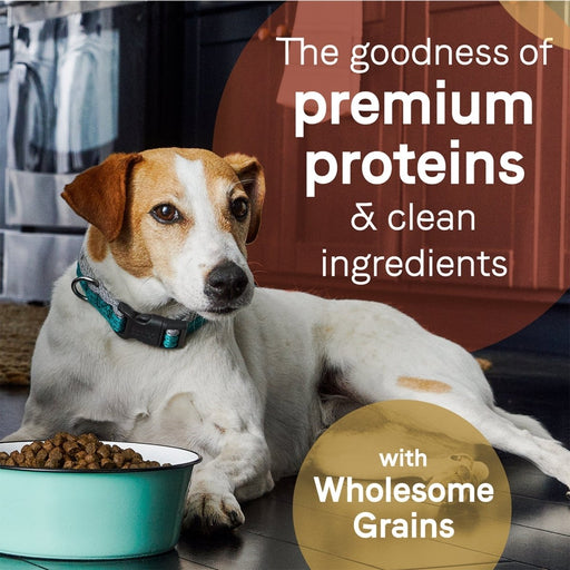 Pure Dog Food with Wholesome Grains Beef/Barley 4 Lb - Petsplace.store