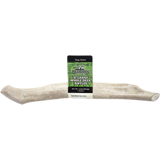 Redbarn Pet Products Natural Deer Antler Dog Treat Whole 1ea/XL, 2.4 oz - Petsplace.store