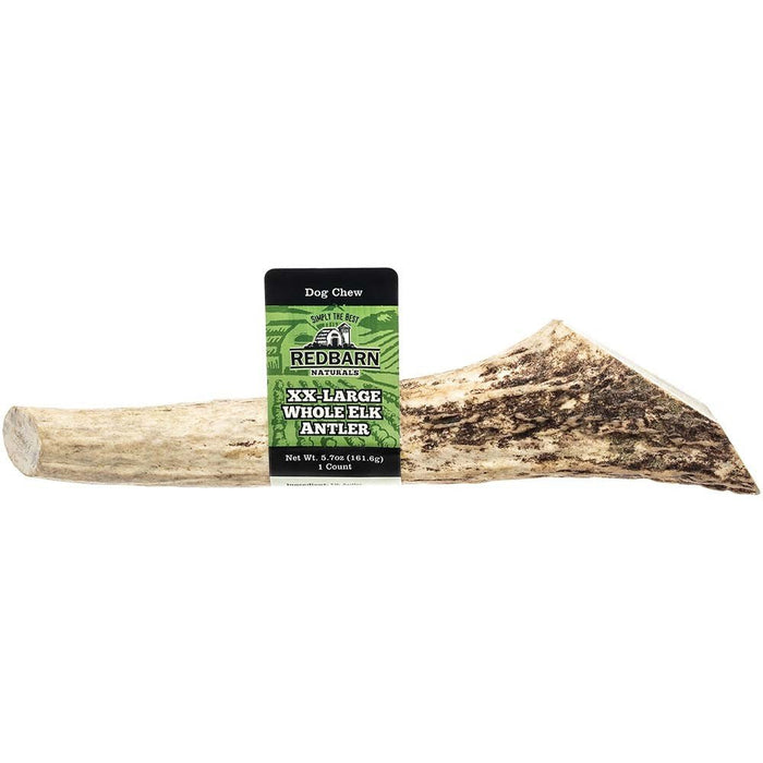 Redbarn Pet Products Natural Elk Antler Dog Treat Whole 1ea/XXL, 5.7 oz - Petsplace.store