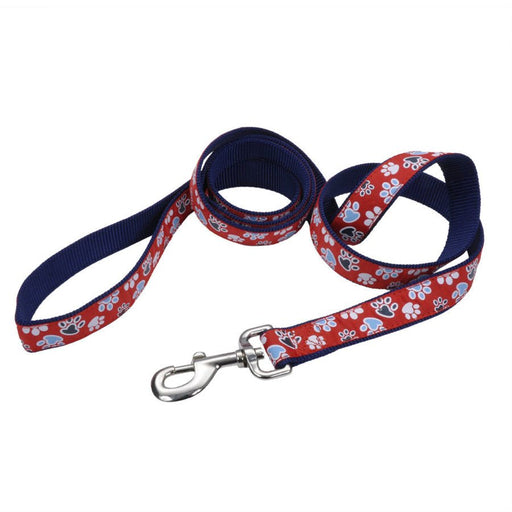 Ribbon Nylon Dog Leash Red 1ea/1 In X 6 ft - Petsplace.store