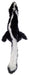 Skinneeez Forest Series Dog Toy Skunk Black, White 1ea/Mini - Petsplace.store