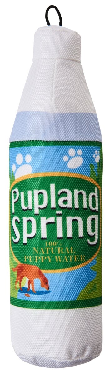 Spot Fun Drink Pupland Springs Dog Toy Green 1ea/11 in - Petsplace.store